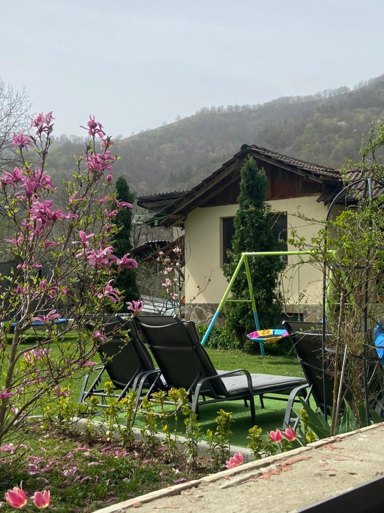 Guest House Rest Cherni Osum Exterior foto